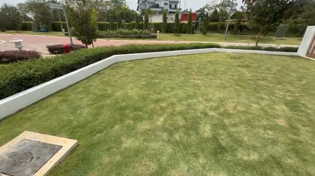 LawnCare landscaping project