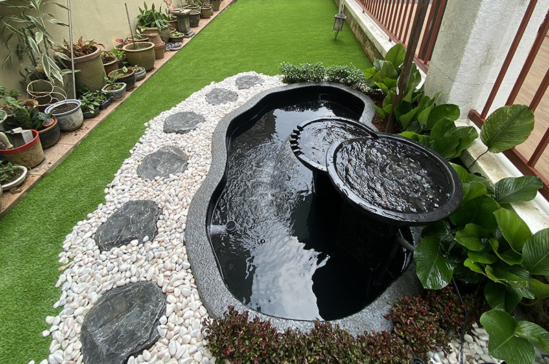 Fish pond design